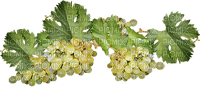 grapes, viinirypäle - δωρεάν png