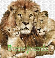 famille lion - Δωρεάν κινούμενο GIF