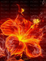Fleur - Free animated GIF