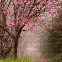 Spring.Landscape.gif.Victoriabea - Zdarma animovaný GIF