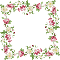 frame cadre rahmen  tube vintage flower fleur fleurs spring rose roses pink white - PNG gratuit