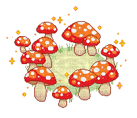 mushroom ring - nemokama png