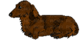 sleepy dachshund - Бесплатный анимированный гифка