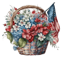 Flower USA - Bogusia - 免费PNG