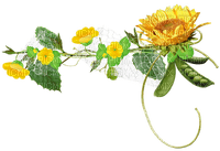 minou-flowers-blommor - PNG gratuit