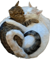 animals cat nancysaey - PNG gratuit