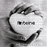 Antoine jtm - Free PNG