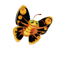 Butterfly - Бесплатный анимированный гифка