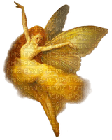 Golden fairy - nemokama png