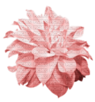blomma-rosa----flower-pink - PNG gratuit