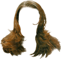perruque cheveux coiffure - zdarma png