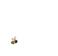 abeille-bee-nature-miel-honey