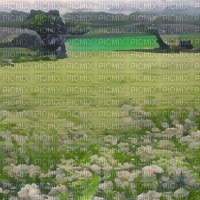 Green Field with Flowers - png ฟรี