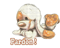 pardon - Gratis animerad GIF