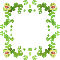 soave patrick frame animated clover green brown - GIF animado grátis