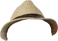 chapeau casquette cheveux bonnet - Free PNG