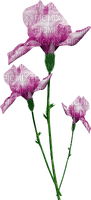 blommor-rosa----flowers-pink - PNG gratuit