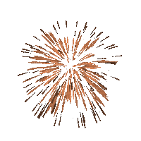 fireworks - Animovaný GIF zadarmo