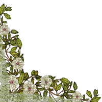 CORNER FLOWERS - 無料のアニメーション GIF