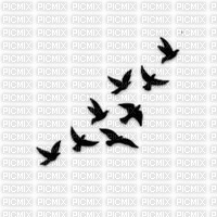 Pájaros - PNG gratuit