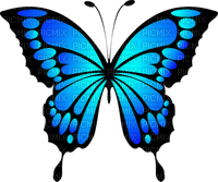 Blue Butterfly - zdarma png