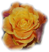 patymirabelle fleurs rose jaune - PNG gratuit