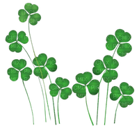 st patrick;s day clovers - Free PNG
