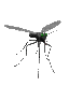 dragonfly katrin - Δωρεάν κινούμενο GIF