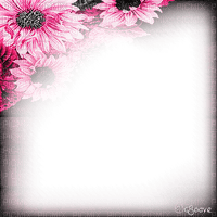 soave frame autumn flowers sunflowers corner - Free PNG