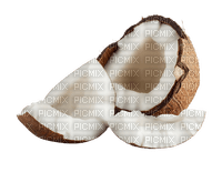 coconuts - δωρεάν png