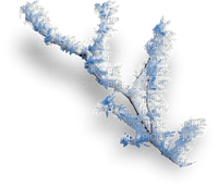 winter branche  hiver - Free PNG