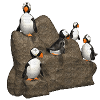 Pinguïn - 無料のアニメーション GIF
