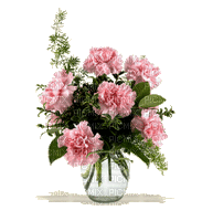 vaza s cvijećem - Δωρεάν κινούμενο GIF
