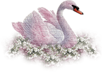 Kaz_Creations Swans Swan Birds - png gratuito
