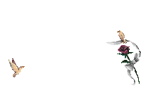 misi56 - Bezmaksas animēts GIF