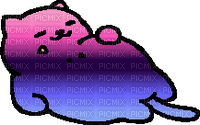 Omnisexual Tubbs the cat - kostenlos png
