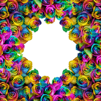 Rainbow Roses Frame (1) - Free PNG