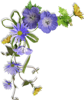 fleur bleu - besplatni png