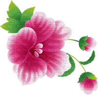 All my lovely flowers - ilmainen png