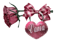 Name. Vania - Zdarma animovaný GIF