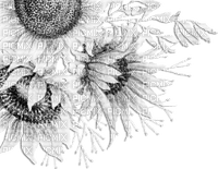 soave deco flowers corner branch spring sunflowers - δωρεάν png