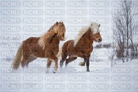 My horses -Nitsa - zadarmo png
