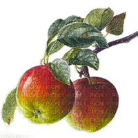 Äpfel - PNG gratuit