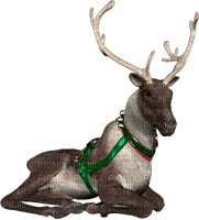 Kaz_Creations Reindeer Christmas - png gratis