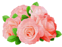 Y.A.M._Flowers bouquets - zdarma png