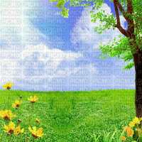 Y.A.M._Summer background flowers - 免费PNG