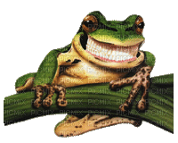 Frog Smile - Безплатен анимиран GIF