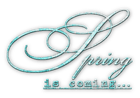 soave text spring is coming teal - png gratis