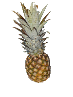 spinning pineapple - GIF animasi gratis