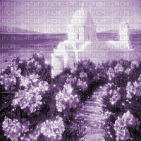 Y.A.M._Landscape background purple - Ilmainen animoitu GIF